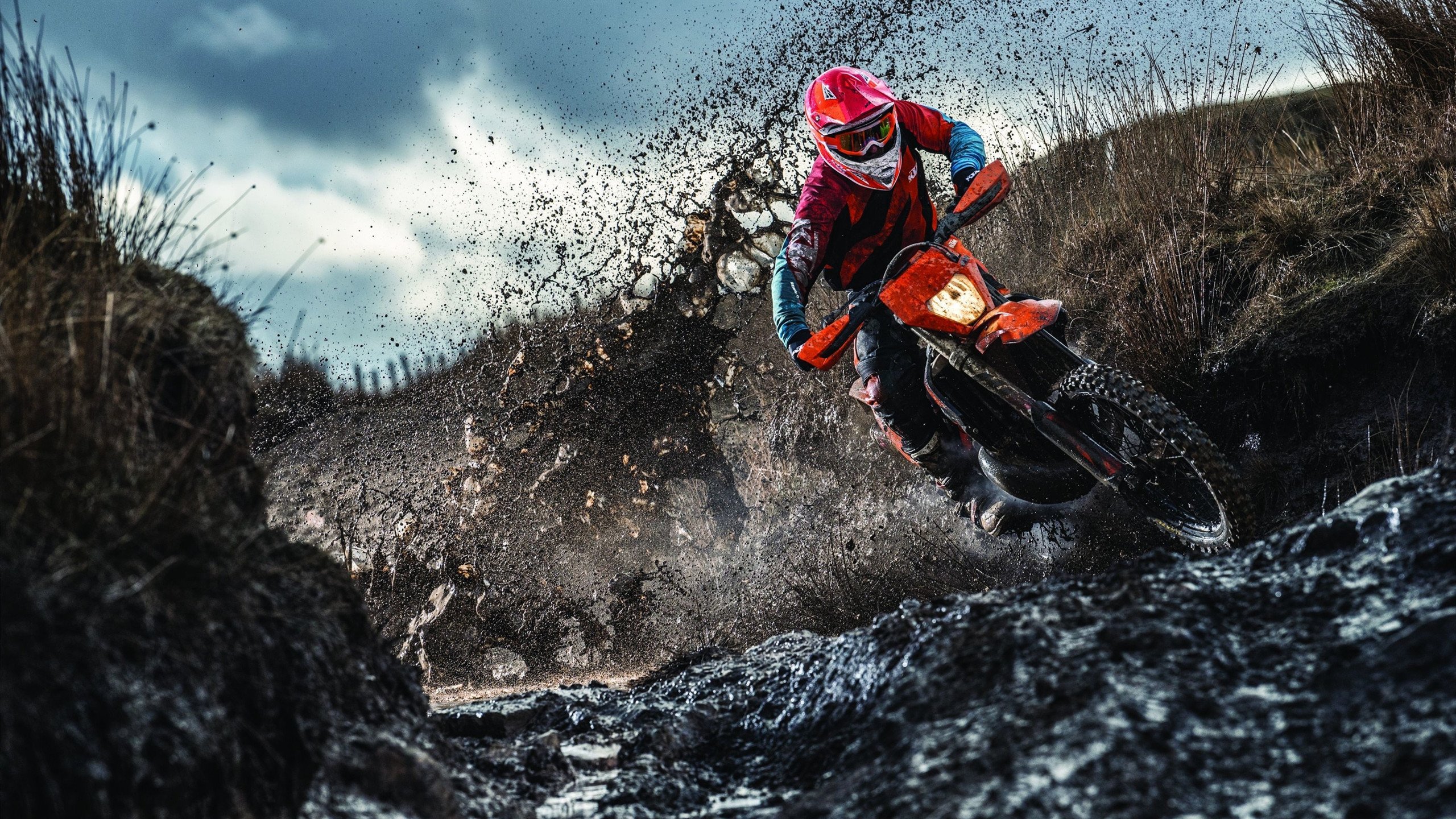 数字青训体系创新应用,个性化培养青少年未来潜力,数字青春